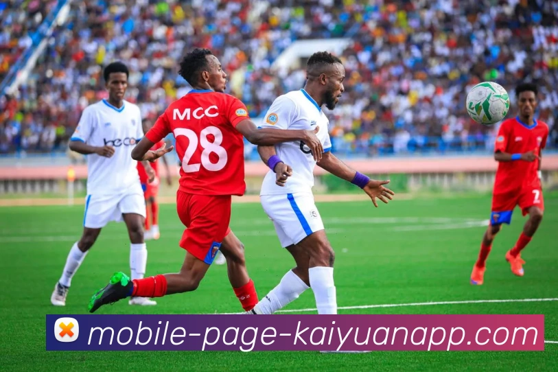 开元体育平台生态图